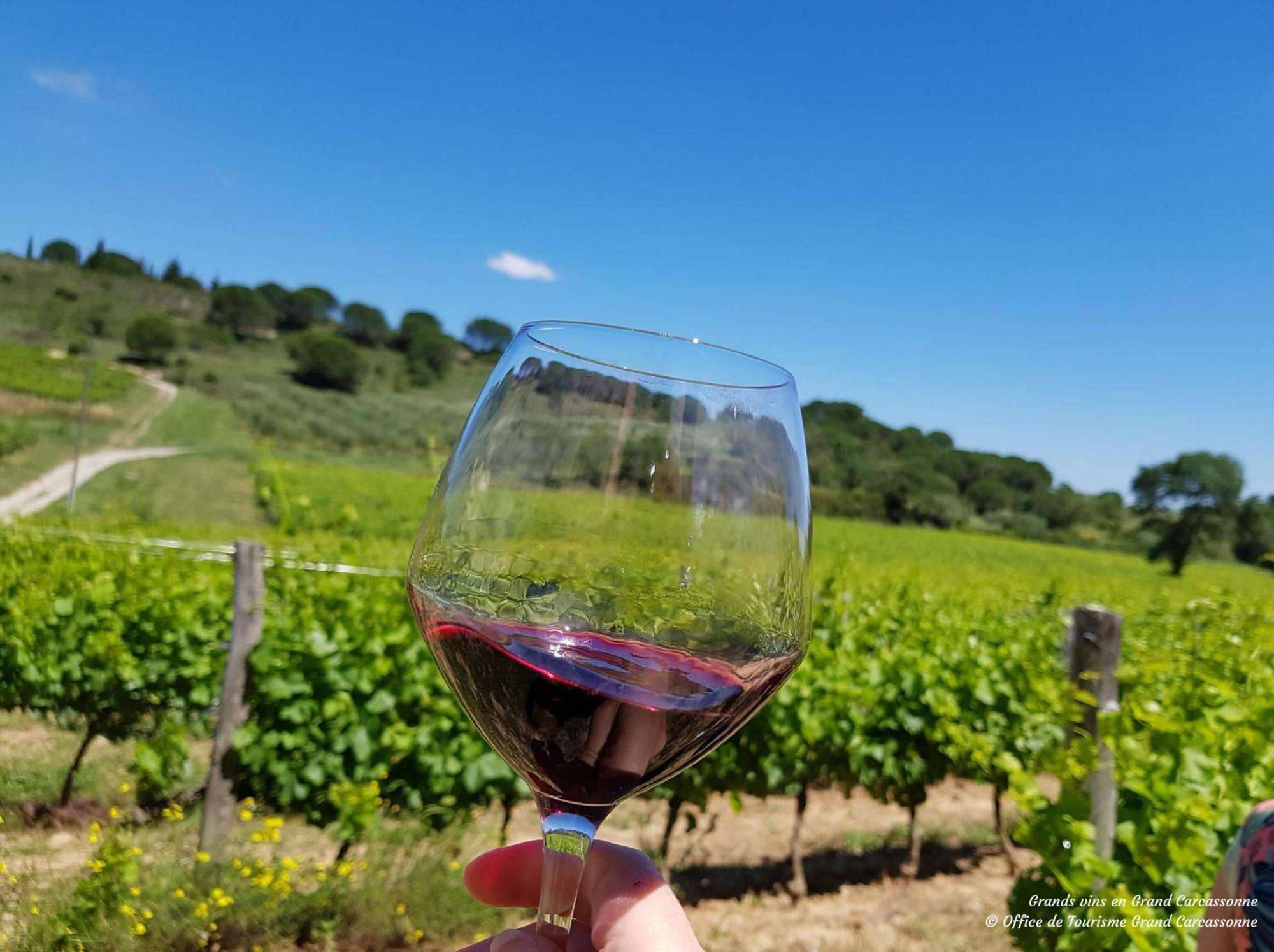 Chateau De Blomac 외부 사진
